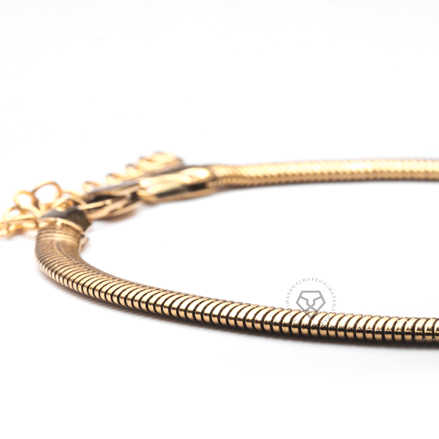 Flat Snake Chain Bracelet