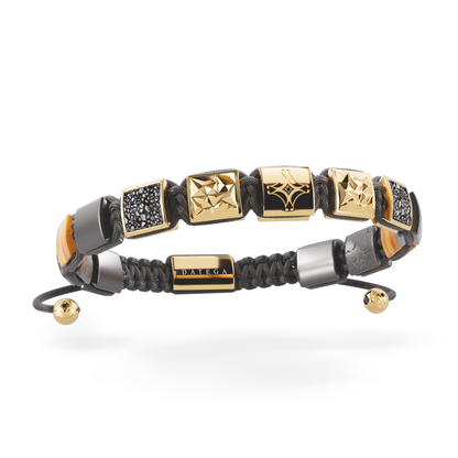 Fenix, Stingray & The Star - Black Edition