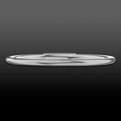Silver Round Snake Chain Bracelet