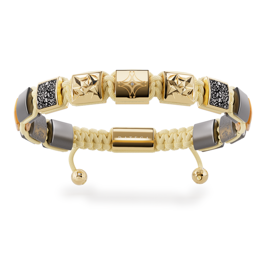 Fenix, Stingray & The Star - Gold Edition