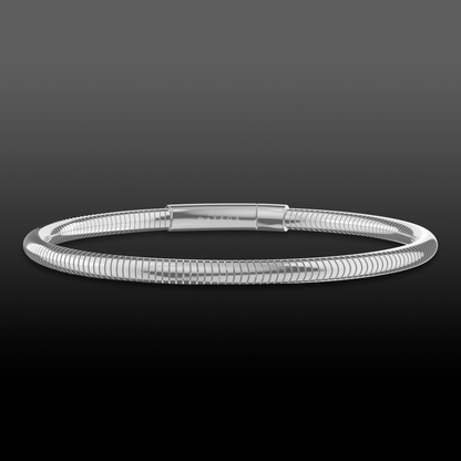 Silver Round Snake Chain Bracelet
