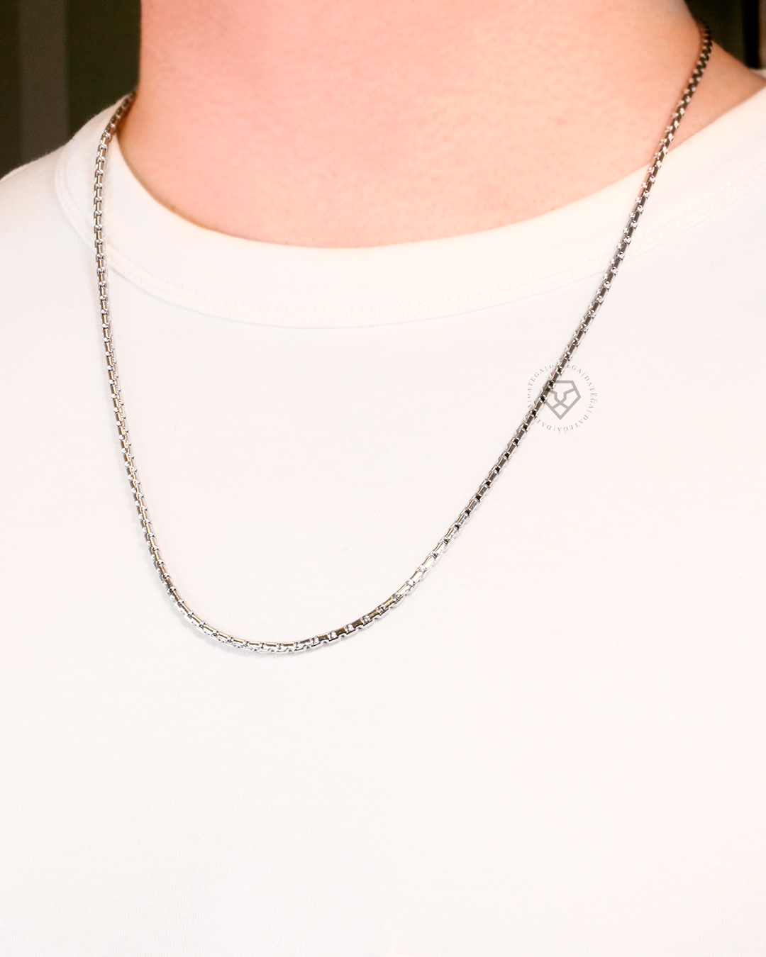 Solo Chain White Gold - Tail