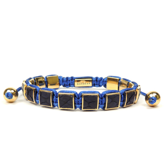 Square Yellow Gold Blue Python